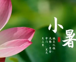 二十四節氣丨小暑：熱風撲面小暑至 炎炎盛夏于此始